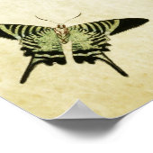Papillon vintage Impression 085 (Coin)