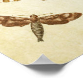 Papillon vintage Impression 088 (Coin)