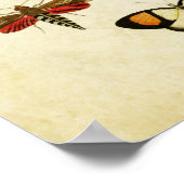 Papillon vintage Impression 125 (Coin)