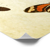 Papillon vintage Impression 130 (Coin)