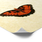 Papillon vintage Impression 135 (Coin)