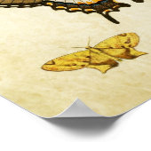 Papillon vintage Impression 139 (Coin)