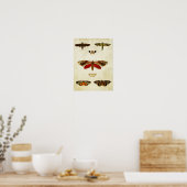 Papillon vintage Impression 149 (Cuisine)