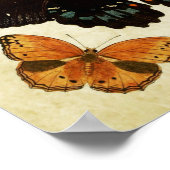 Papillon vintage Impression 157 (Coin)
