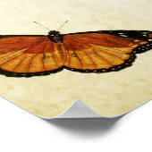 Papillon vintage Impression 175 (Coin)