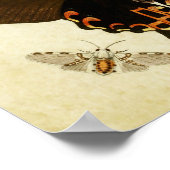 Papillon vintage Impression 181 (Coin)