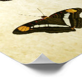 Papillon vintage Impression 188 (Coin)