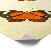 Papillon vintage Impression 189 (Coin)