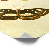 Papillon vintage Impression 212 (Coin)