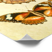 Papillon vintage Impression 218 (Coin)