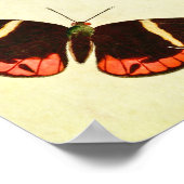 Papillon vintage Impression 223 (Coin)