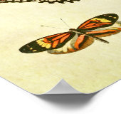 Papillon vintage Impression 232 (Coin)