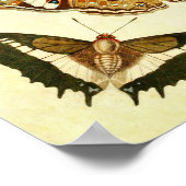Papillon vintage Impression 241 (Coin)