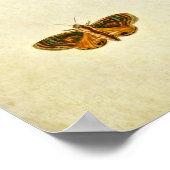 Papillon vintage Impression 276 (Coin)