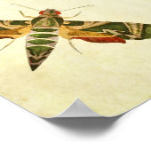 Papillon vintage Impression 285 (Coin)