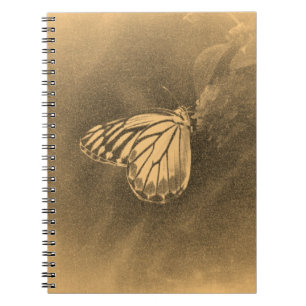 Papillon vintage sur Flower - Carnet