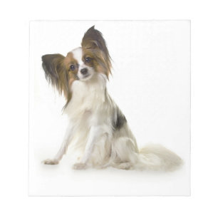 papillon vol notitieblok