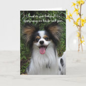 Papillon Vous êtes comme la vieille carte d'annive (Fleur jaune)