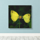 Papillon Wing Of Change Toile Premium Stretchée (Insitu (Plancher de Bois))