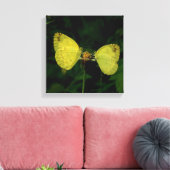Papillon Wing Of Change Toile Premium Stretchée (Insitu(Salon))