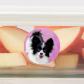Papillon (wit en zwart) schilderen - Dog Art Labels (Aangebracht)