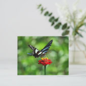 Papillon Zebra Swallowtail sur carte postale Red Z (Debout devant)