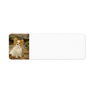 papillon zit etiket