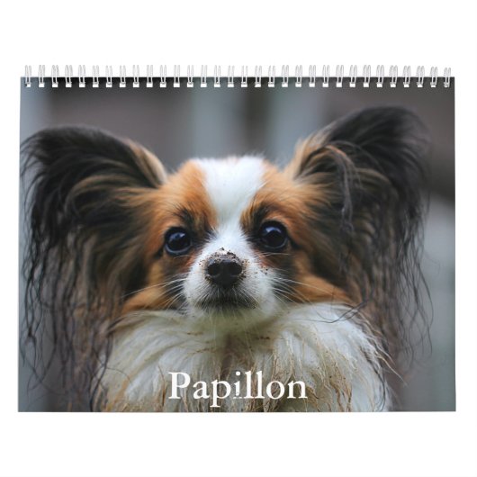 Papillonkalender Kalender (Hoes)