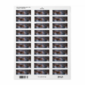 Papillonnevel Etiket (Full Sheet)