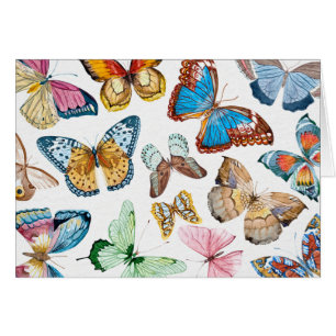 Papillons