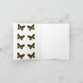 Papillons (Intérieur)