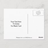 Papillons beagle Chiot Carte postale personnalisab (Dos)