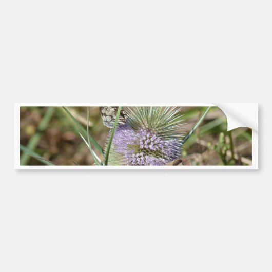 Papillons Bumpersticker (Voorkant)