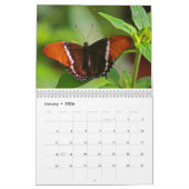 Papillons ! Calendrier (Jan 2026)