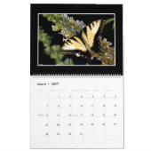 Papillons Calendrier 2022 Par Tom Minutolo (Mar 2027)