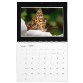 Papillons Calendrier 2022 Par Tom Minutolo (Jan 2027)