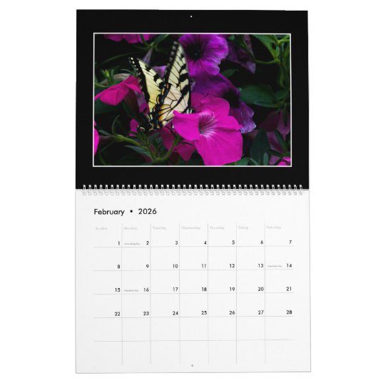 Papillons Calendrier 2023 Par Tom Minutolo (Feb 2026)