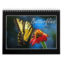 Papillons Calendrier 2023 Par Tom Minutolo
