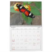 "PAPILLONS" CALENDRIER 2026 (Mar 2027)