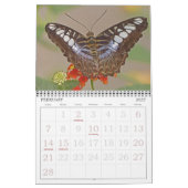 "PAPILLONS" CALENDRIER 2026 (Feb 2027)