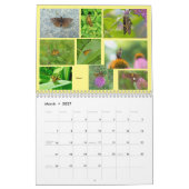 Papillons - Calendrier des bijoux volants (Mar 2027)