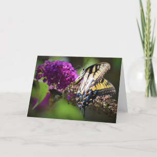 Papillons, carte