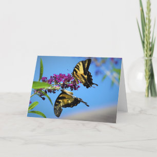 Papillons, carte