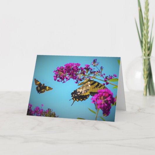 Papillons, carte (Devant)