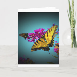 Papillons, carte