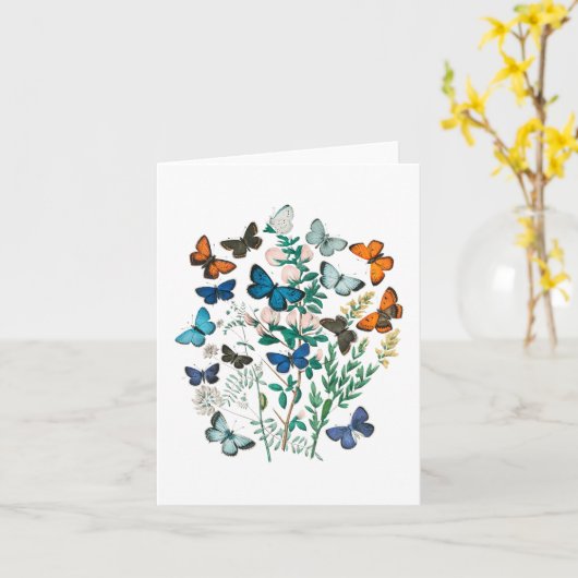 Papillons - carte blanche (Fleur jaune)