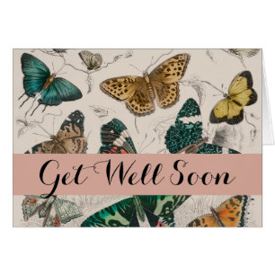 Papillons Collection Antique Papillons