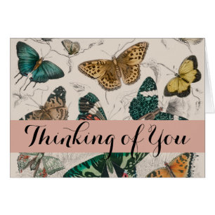 Papillons Collection Antique Papillons