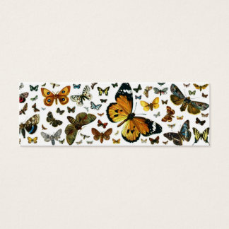 Papillons colorés Antiquaire Signet d'image
