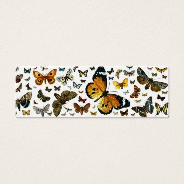 Papillons colorés Antiquaire Signet d'image (Devant)
